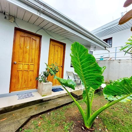 Beyond Island Hotel Moalboal Ruang foto